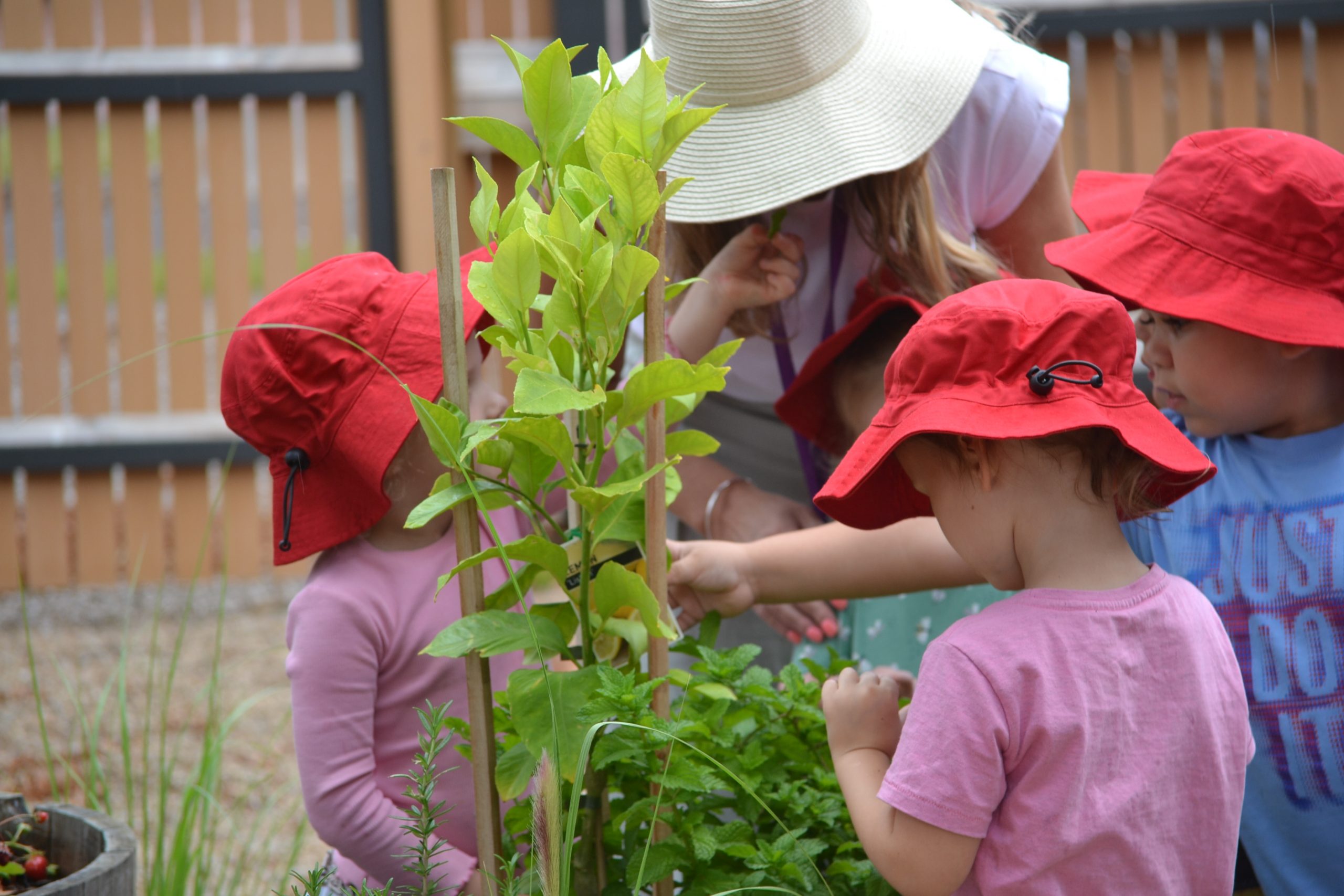 Acacia Avenue Preschool Mentone Policies