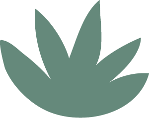 A simple, flat green illustration of a five-leaf plant or succulent with pointed leaves, set against a transparent background.