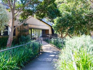 A concrete ramp with handrails leads to the entrance of a beige building, surrounded by lush green trees and shrubs in daylight, inviting visitors to play or relax amidst nature.