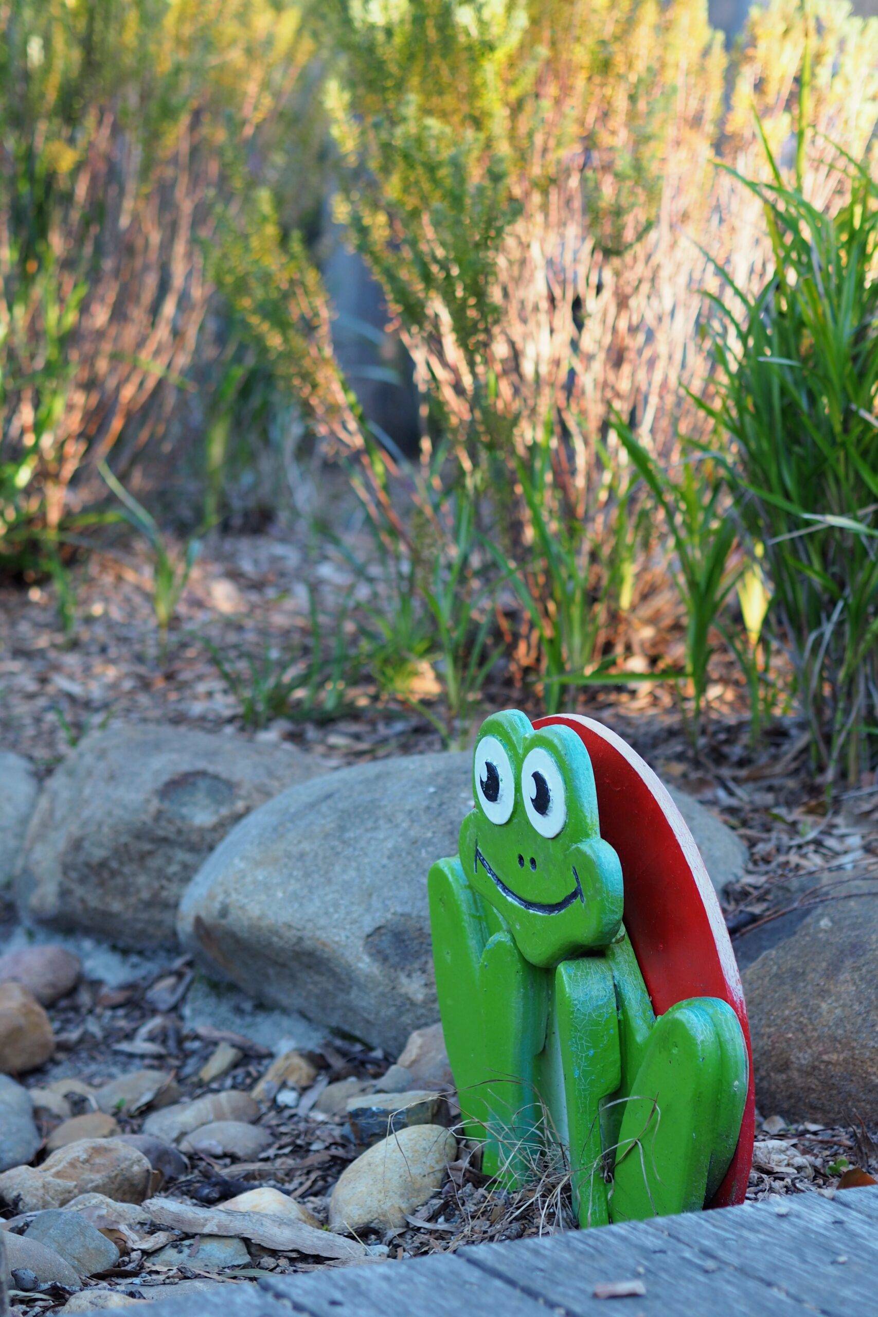 A green wooden frog decoration with a red side and a painted smile sits among rocks and plants in a garden.